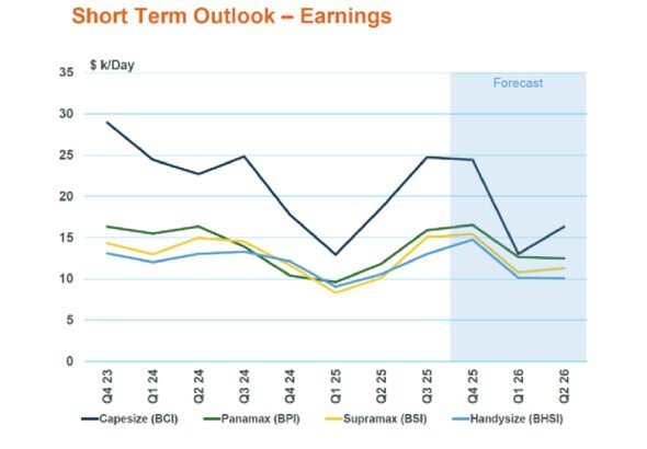 Dry bulk freight market enjoy a year-end bonus